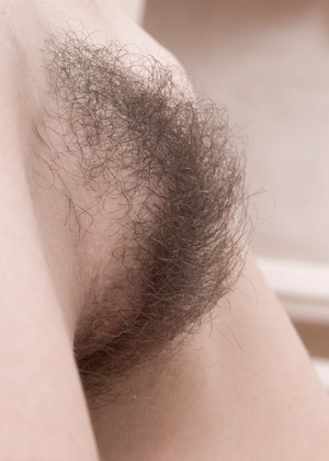 Wearehairy Model